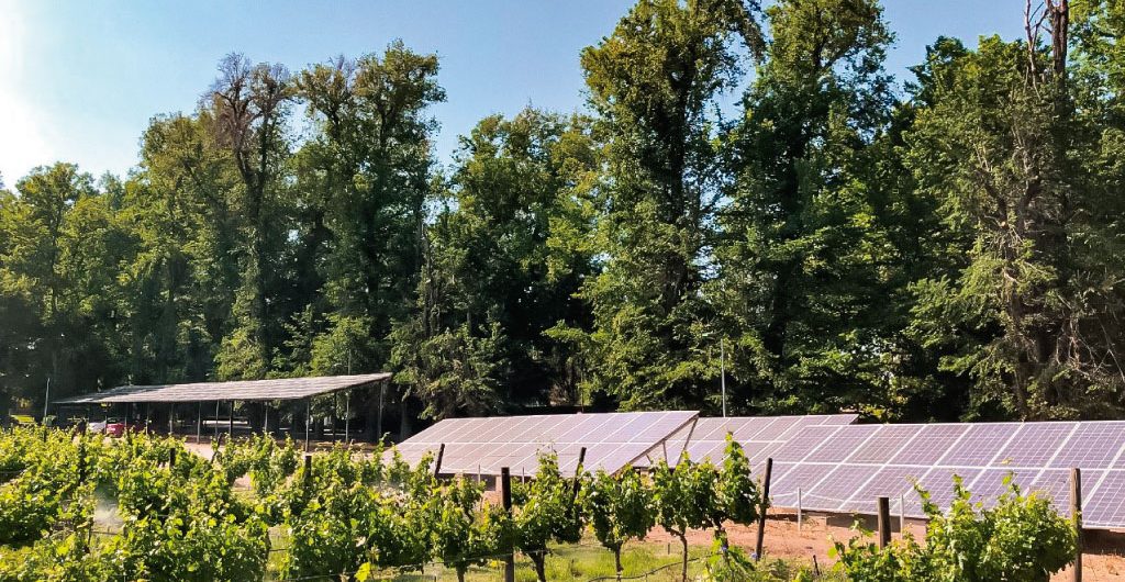 Viña Cousiño Macul inaugura proyecto fotovoltaico que permitirá mitigar la emisión de 200 toneladas anuales de CO2 a la atmósfera