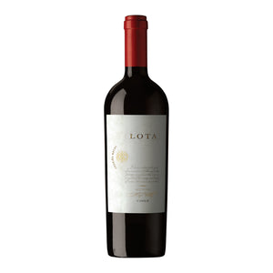 Lota vino ícono