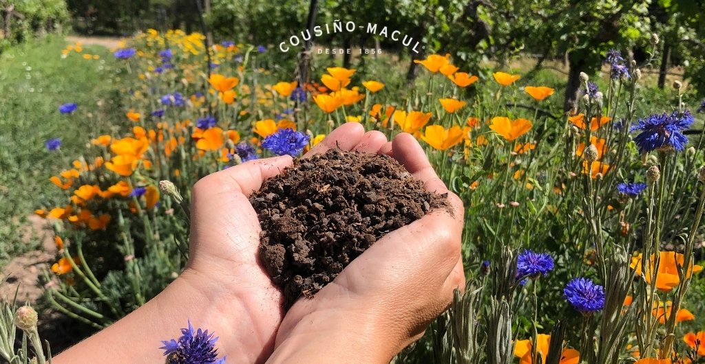 Compost en Viña Cousiño Macul: Reutilización de residuos orgánicos desde el origen