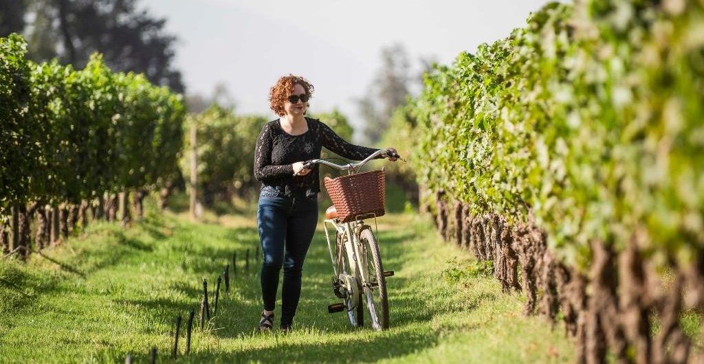 ¡Bienvenidos de vuelta queridos turistas!