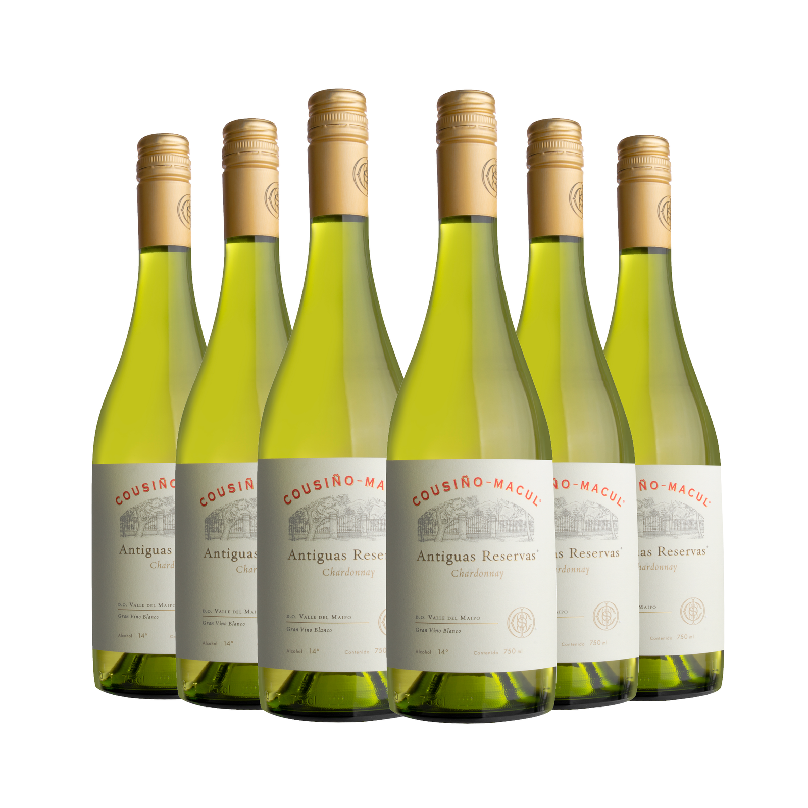 Caja 6 Antiguas Reservas Chardonnay