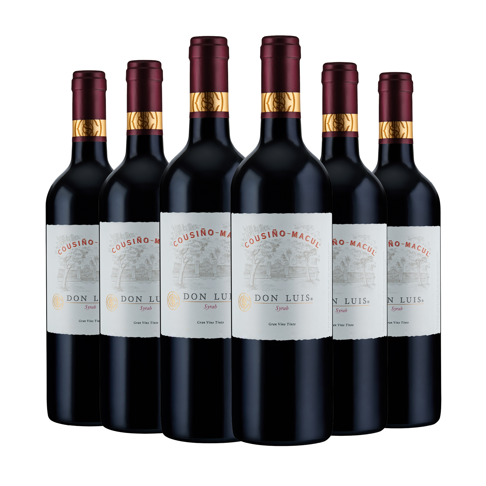 Caja 6 Don Luis Reserva Syrah