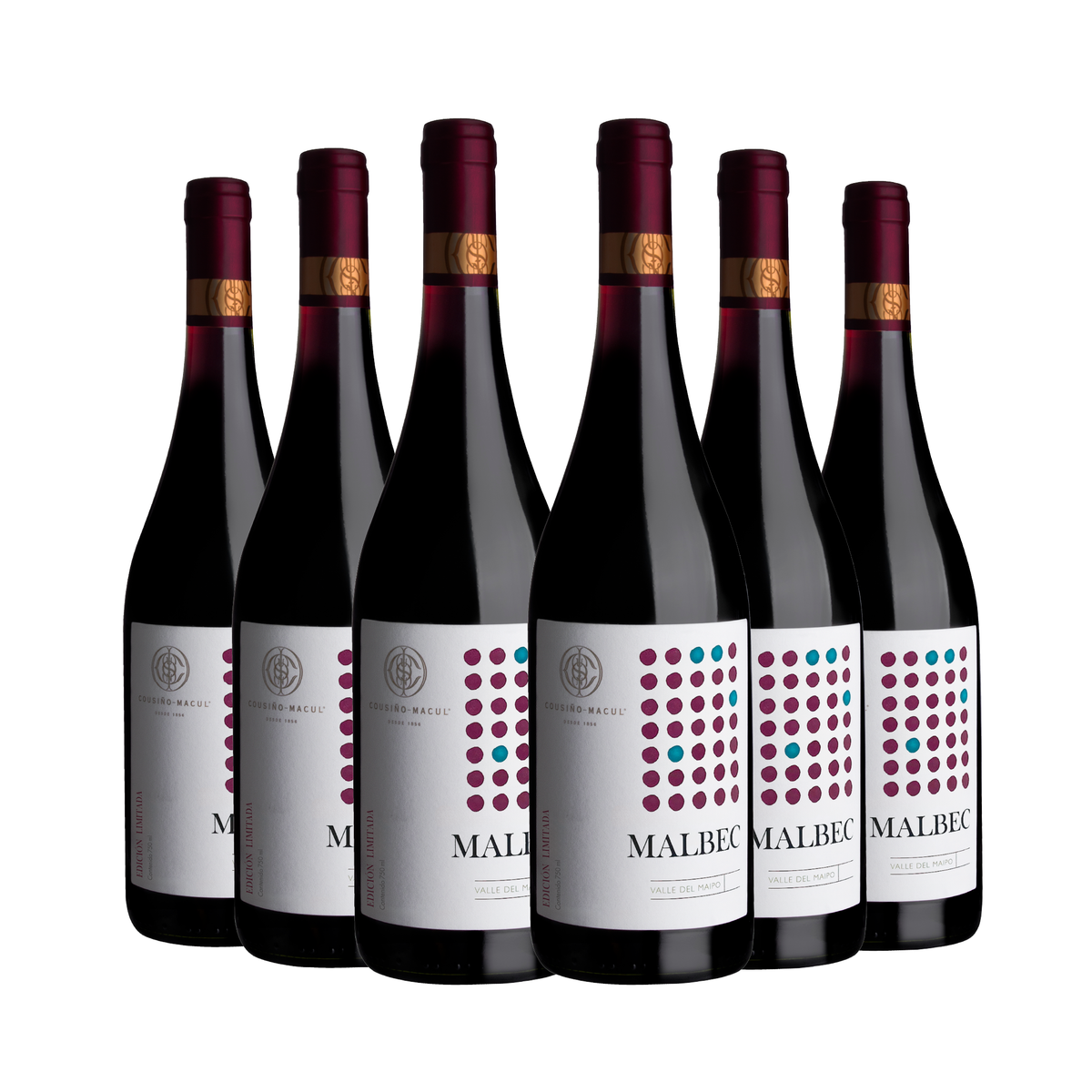 Caja 6 Malbec